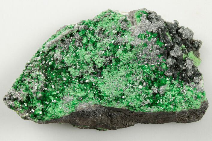 Green Uvarovite (Garnet Group) Cluster - Russia #195644